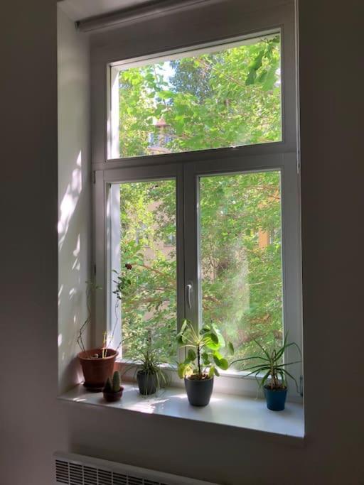 Apartament Cozy Karlin Praga Zewnętrze zdjęcie