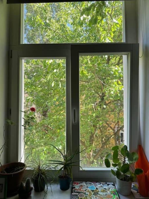 Apartament Cozy Karlin Praga Zewnętrze zdjęcie
